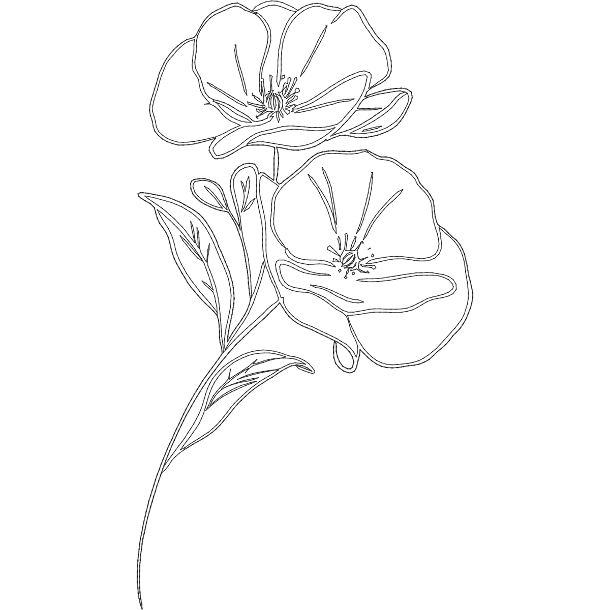 August Poppy Line Art machine embroidery stitch preview