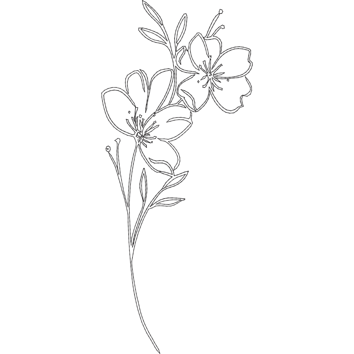 May Hawthorn Line Art machine embroidery stitch preview
