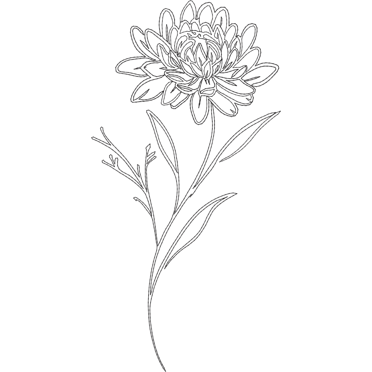 November Chrysanthemum Line Art machine embroidery stitch preview