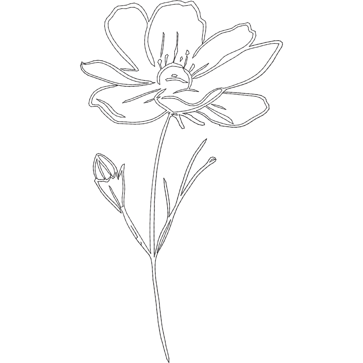October Cosmos Line Art machine embroidery stitch preview