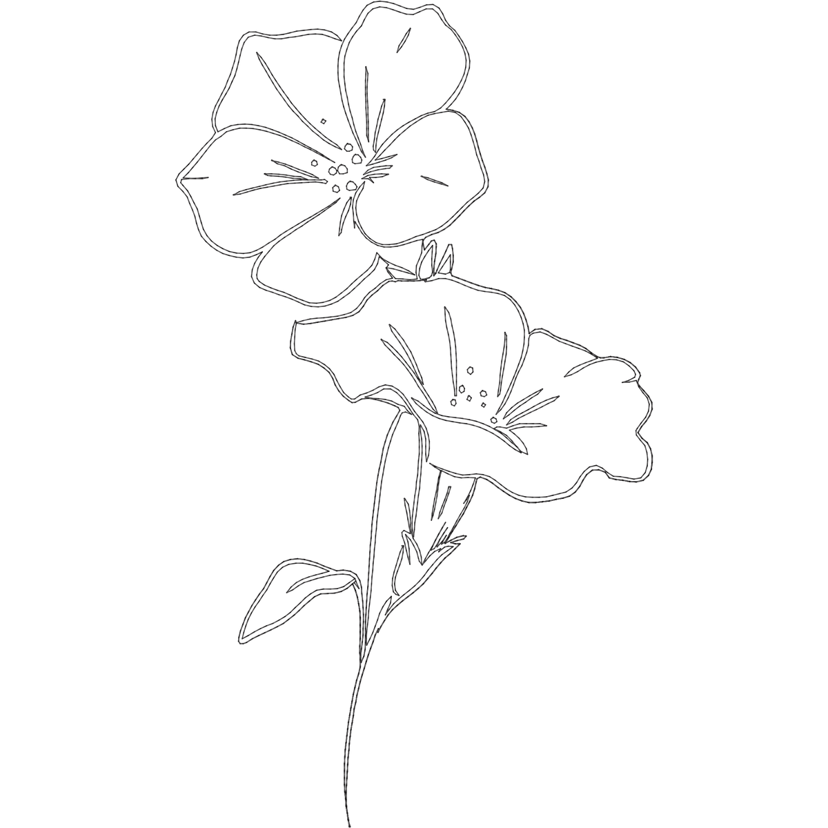 September Morning Glory Line Art machine embroidery stitch preview