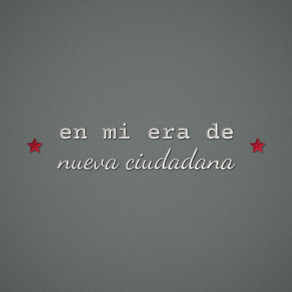 Nueva Ciudadana Embroidered Sweatshirt – embroidery close-up